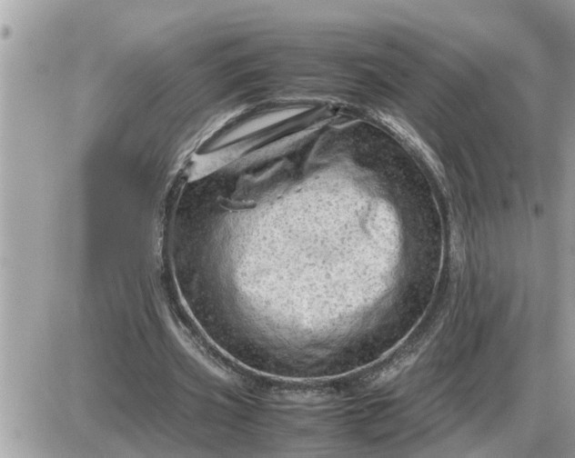 X0000087400533200705042038