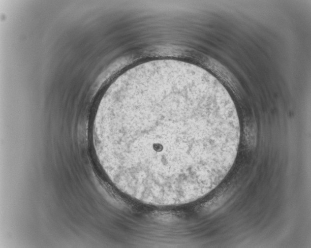 X0000087400534200705042038