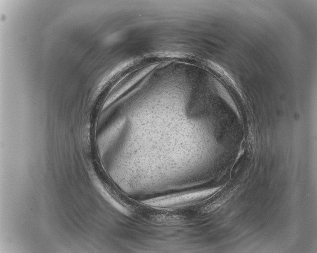 X0000087400535200705042038