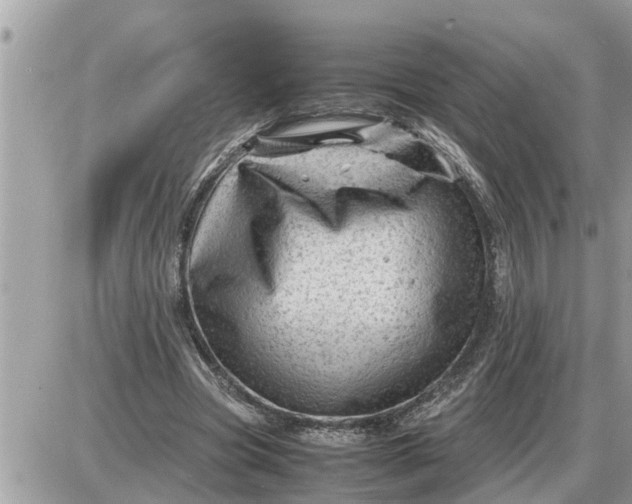 X0000087400537200705042038