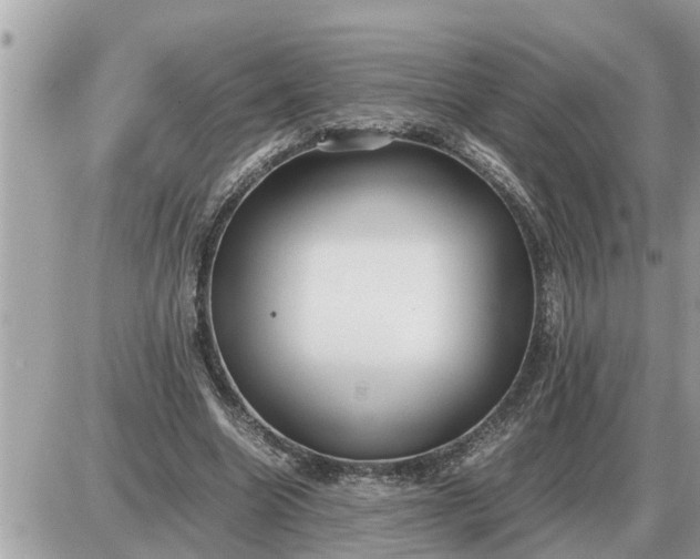 X0000087400538200705042038