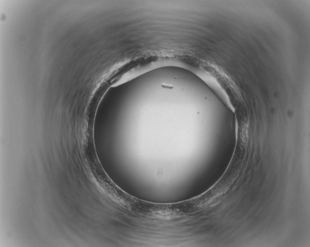 X0000087400540200705042038