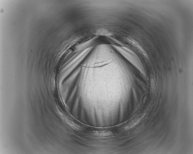 X0000087400541200705042038