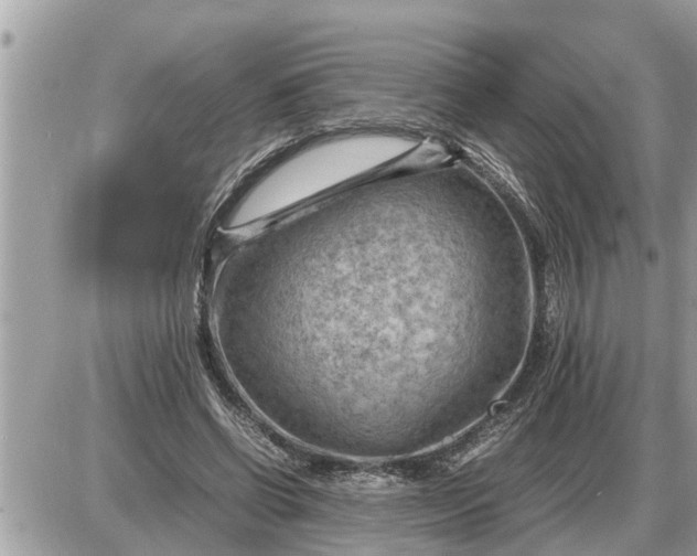 X0000087400542200705042038