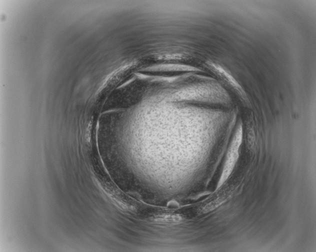 X0000087400543200705042038