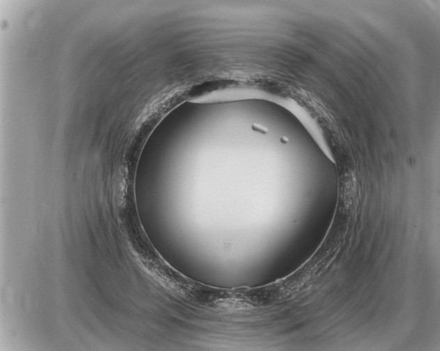 X0000087400544200705042038