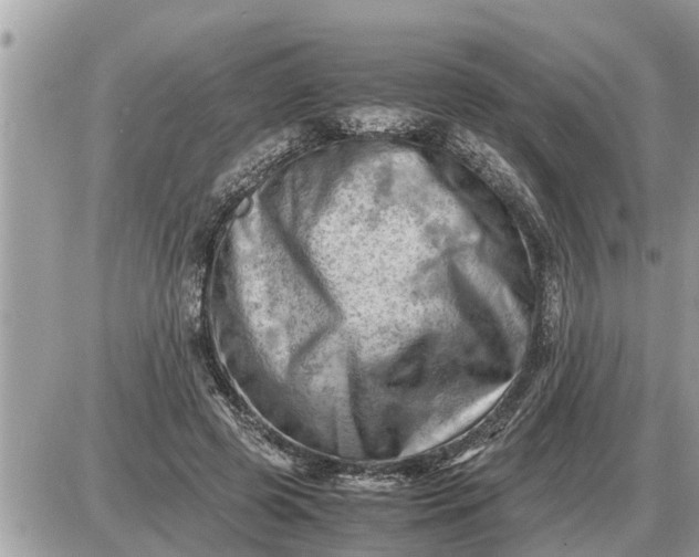 X0000087400545200705042038