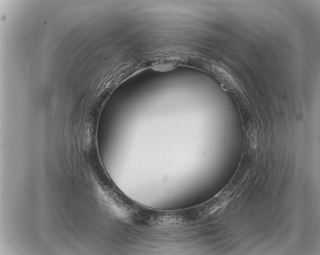 X0000087400546200705042038