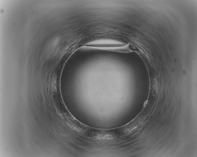 X0000087400547200705042038