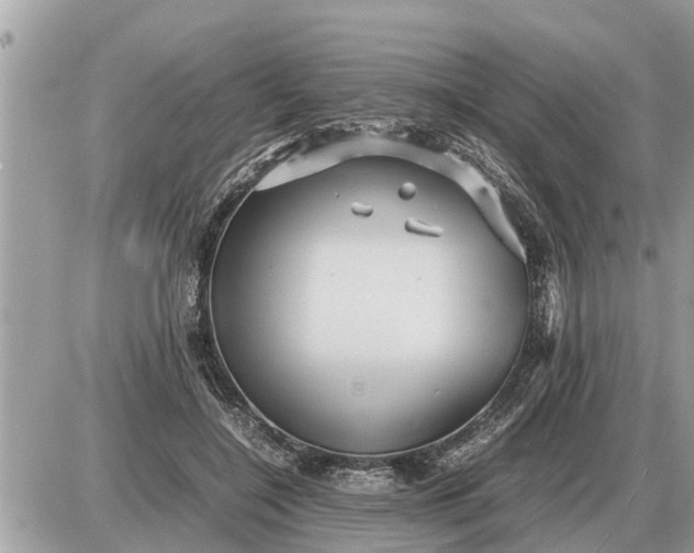 X0000087400548200705042038