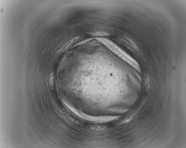 X0000087400549200705042038