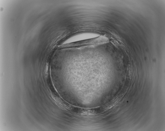 X0000087400550200705042038