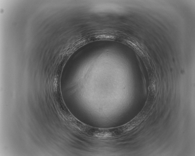 X0000087400551200705042038