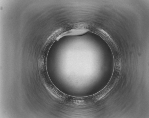 X0000087400552200705042038