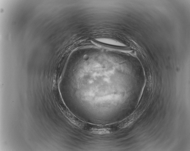 X0000087400553200705042038