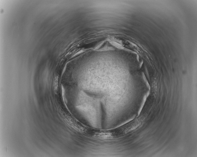 X0000087400554200705042038