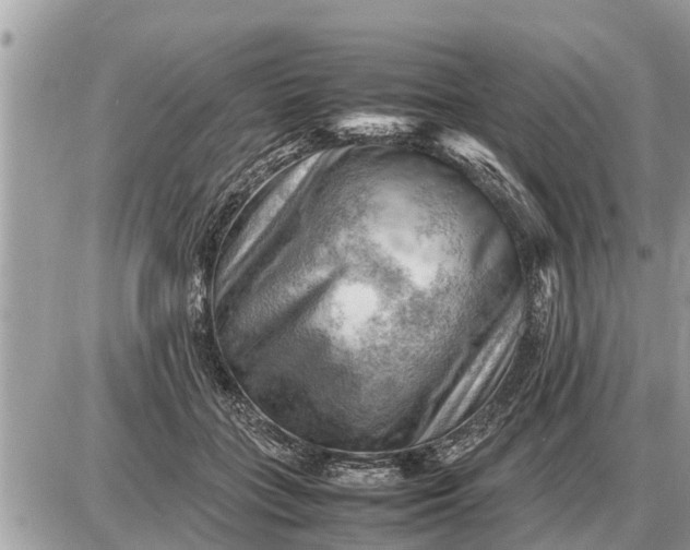 X0000087400555200705042038