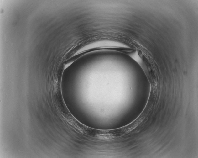 X0000087400556200705042038