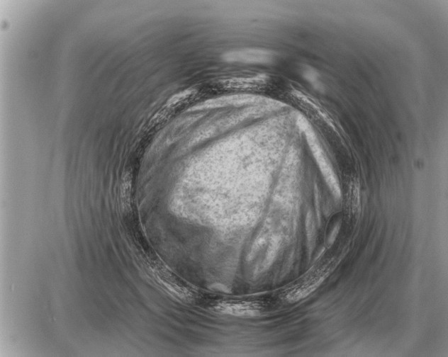 X0000087400557200705042038