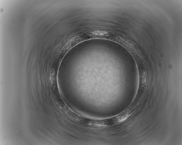 X0000087400559200705042038