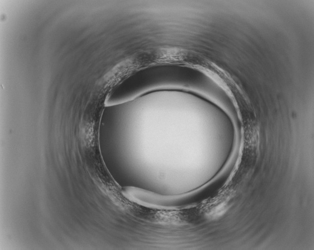 X0000087400560200705042038