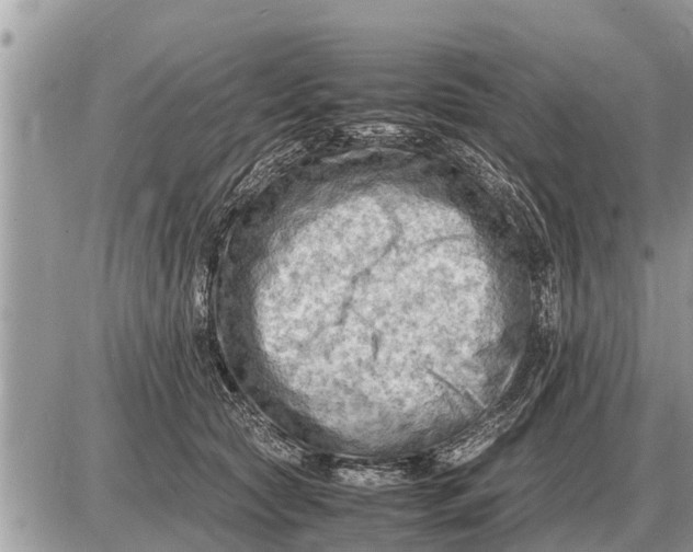 X0000087400561200705042038