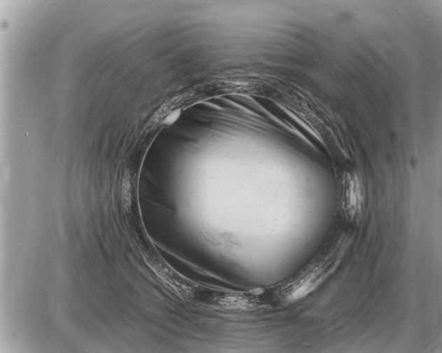 X0000087400562200705042038