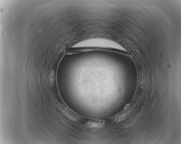 X0000087400563200705042038