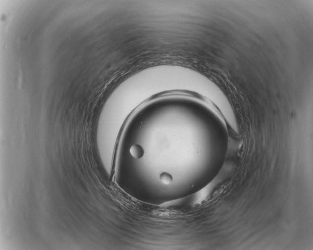 X0000087400564200705042038