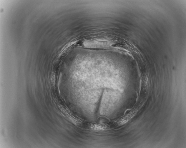 X0000087400565200705042038