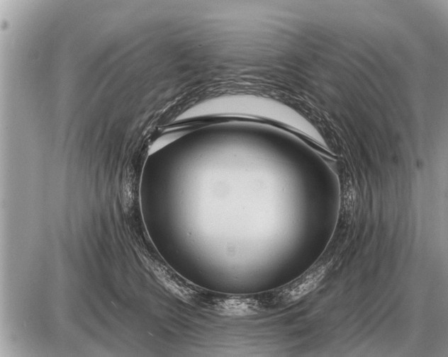 X0000087400566200705042038