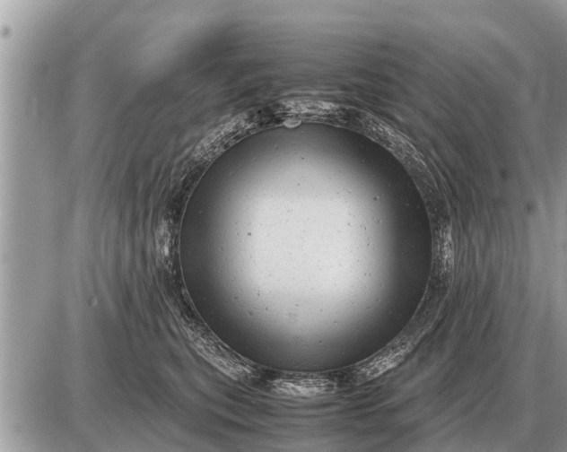 X0000087400567200705042038