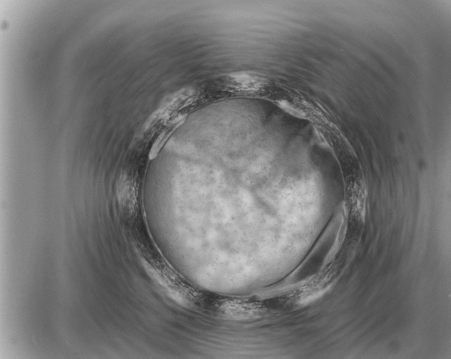 X0000087400568200705042038