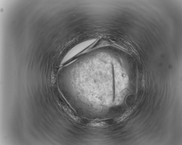 X0000087400569200705042038