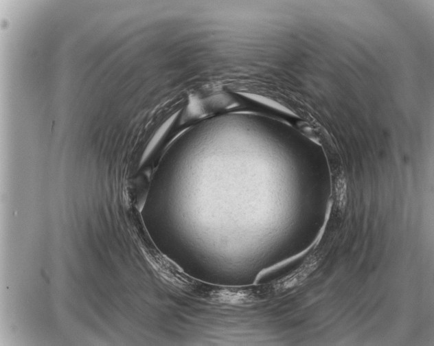 X0000087400570200705042038