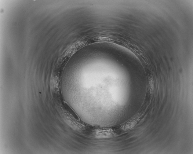 X0000087400571200705042038