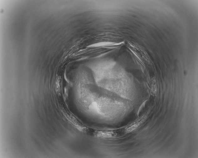 X0000087400573200705042038