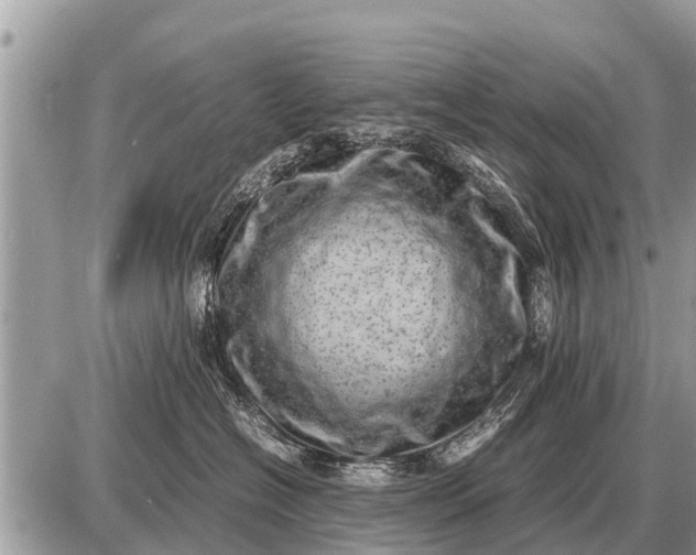 X0000087400574200705042038