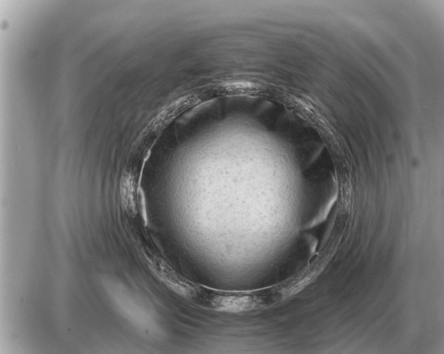 X0000087400575200705042038