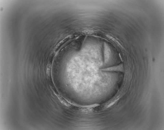 X0000087400576200705042038