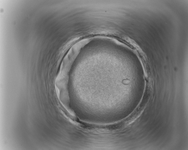 X0000087400577200705042038