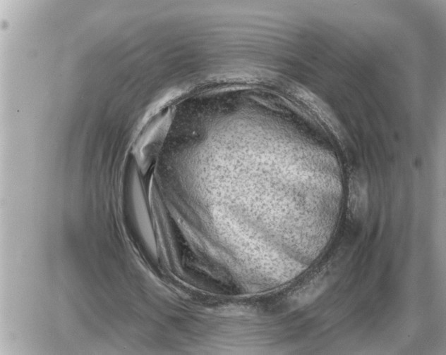 X0000087400578200705042038