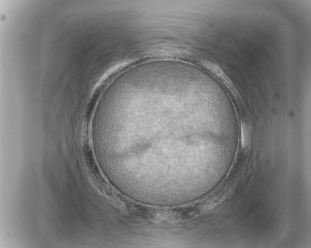 X0000087400579200705042038