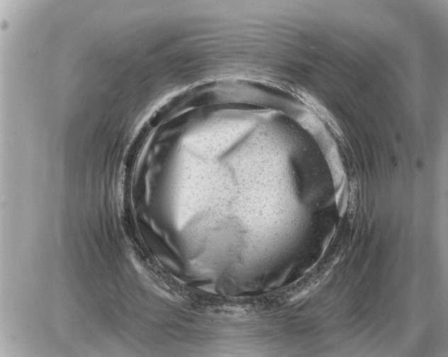 X0000087400580200705042038