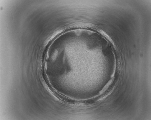 X0000087400581200705042038