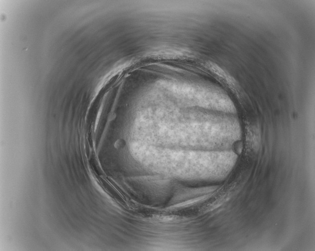 X0000087400582200705042037