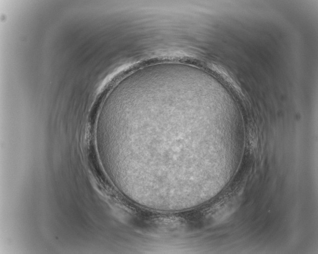 X0000087400583200705042037