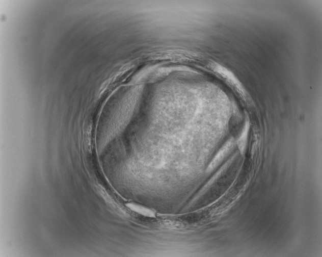 X0000087400585200705042037