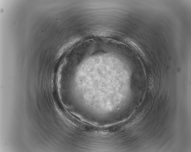 X0000087400586200705042037