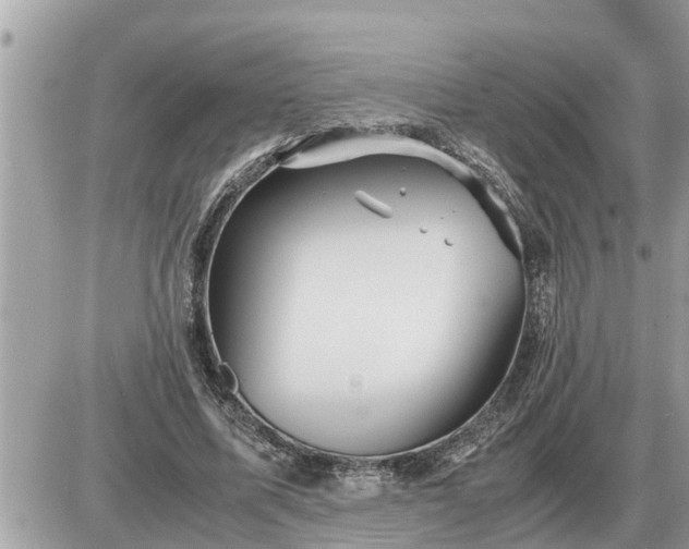 X0000087400587200705042037